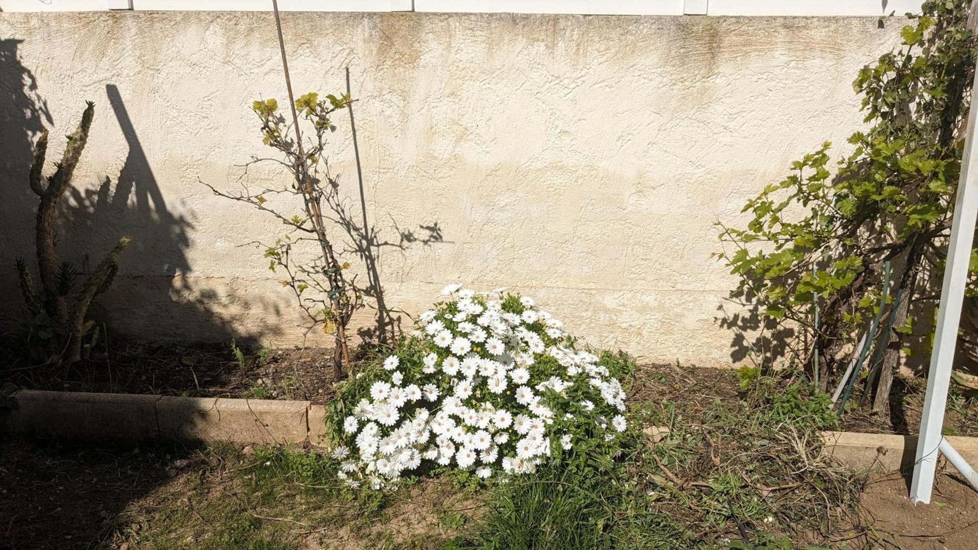 Maisonnette Kalis Calme Avec Climatisation Parking Jardin Cadre Campagne Plages A Pieds Bandol Eksteriør billede